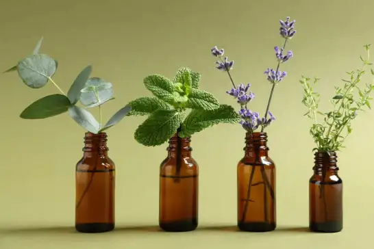 Herbal Medicine
