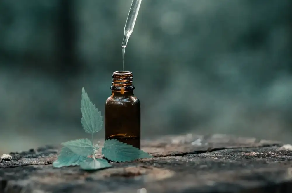Mistletoe Injections
