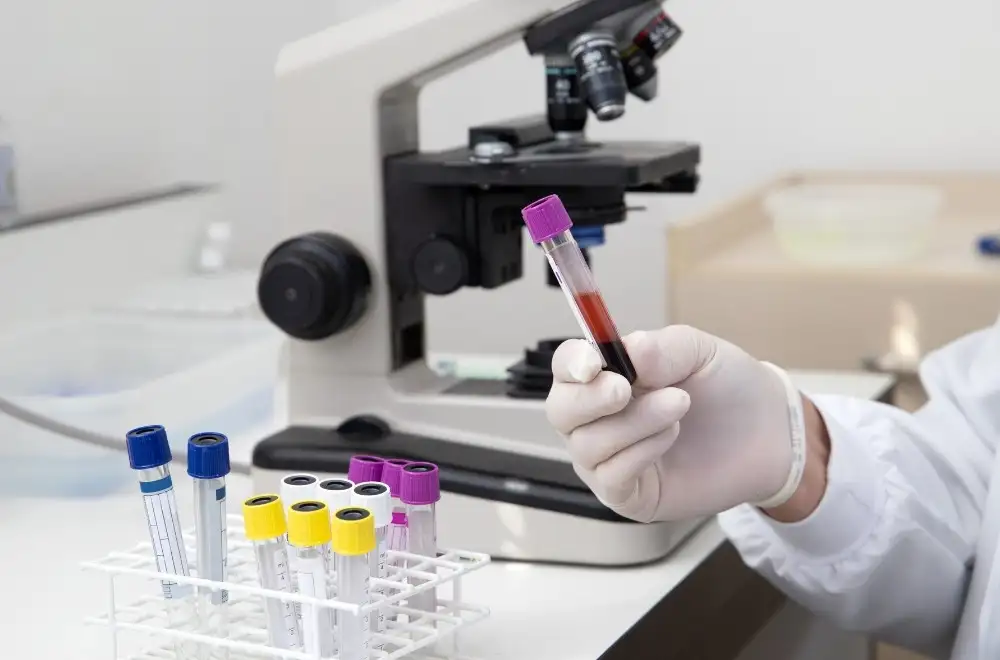 Laboratory Testing & Functional Testing
