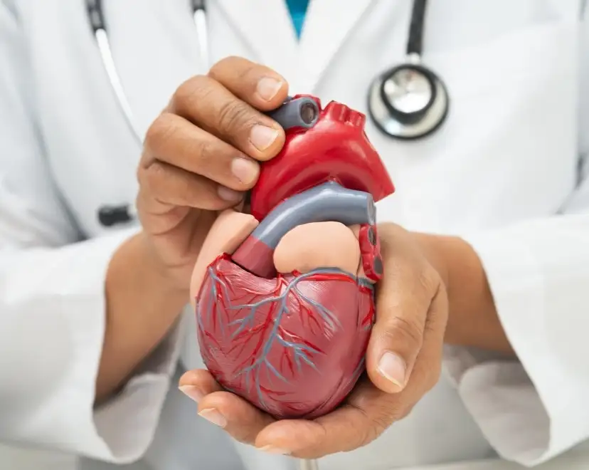 Cardiovascular & Renal Health