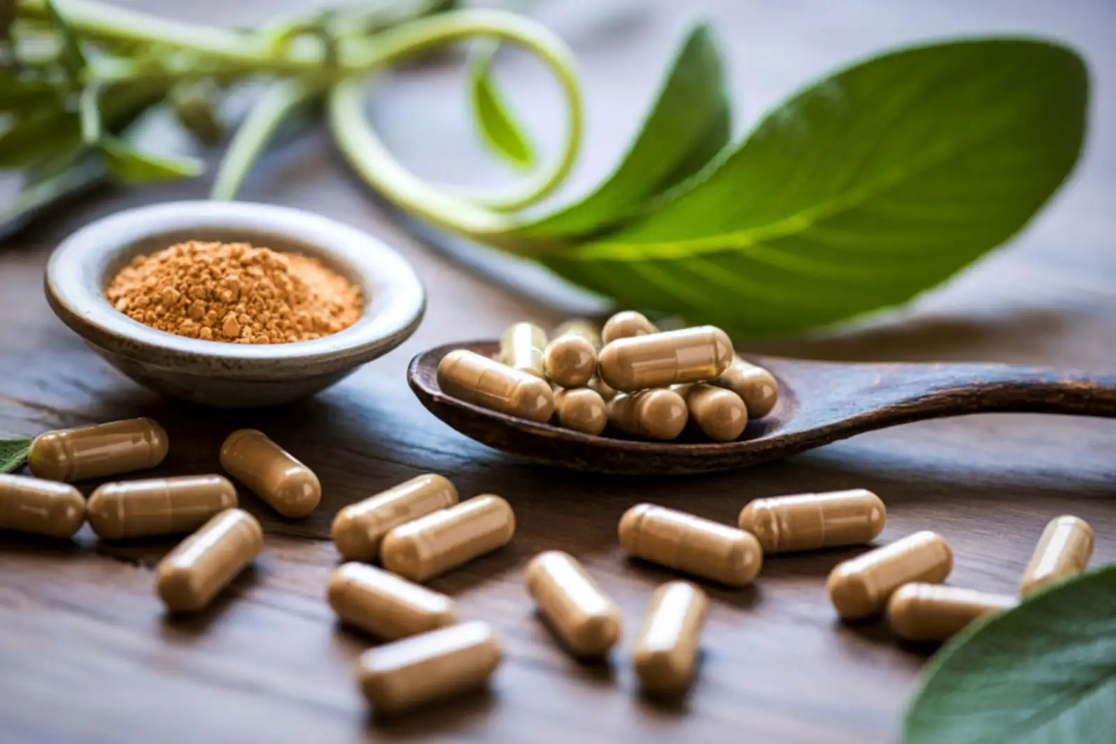 Herbal & Botanical Medicine