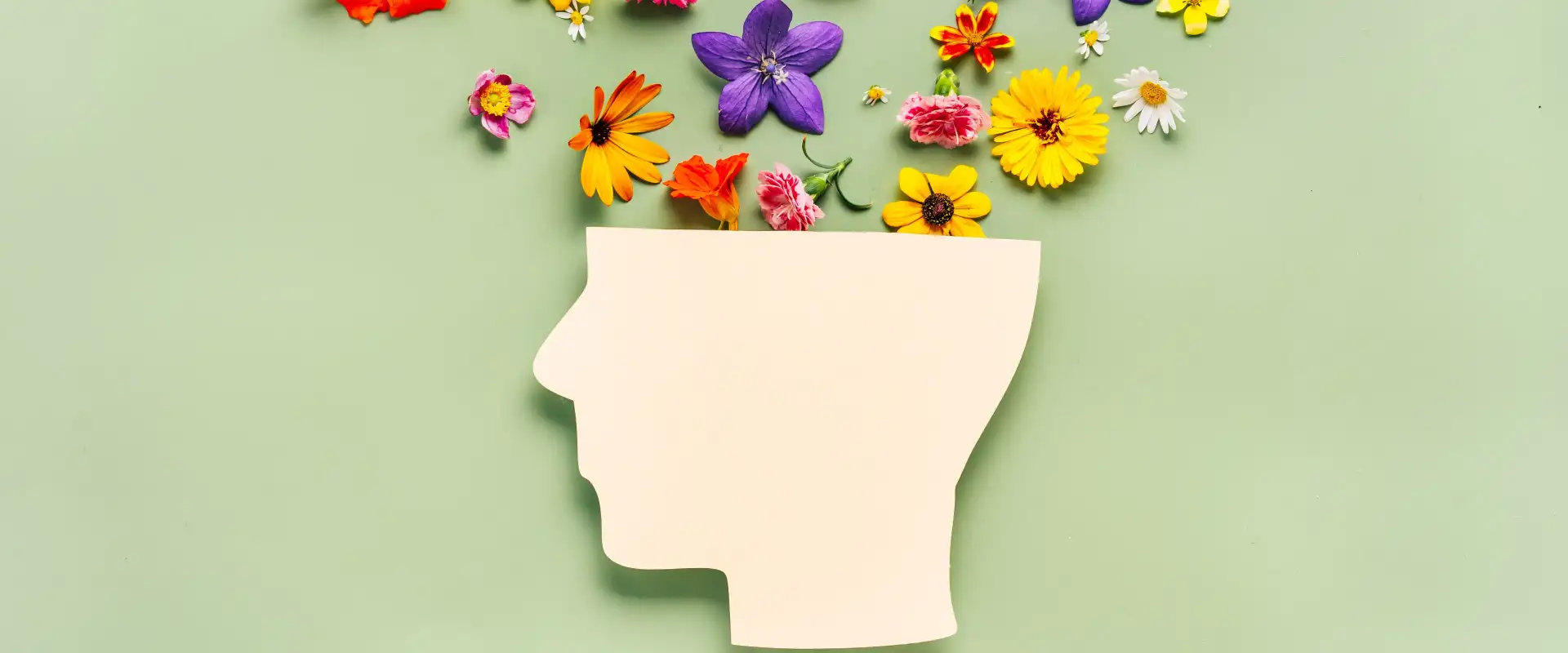 Mental Health Concerns