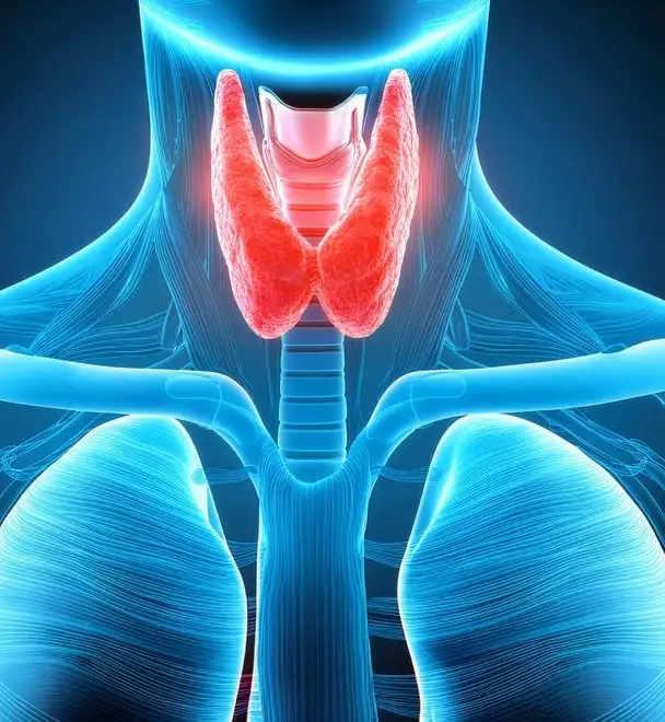 Thyroid Support